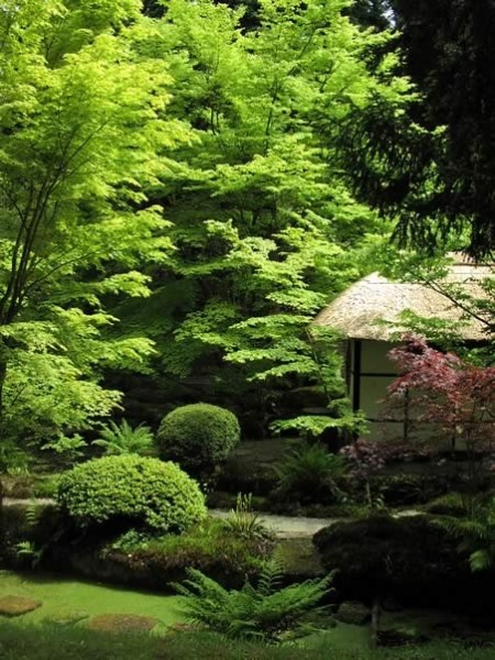 Japanese Garden Tatton Park